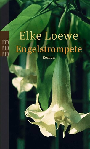 Engelstrompete elke loewe - engelstrompete,