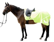 Warn - Nierendecke winddicht