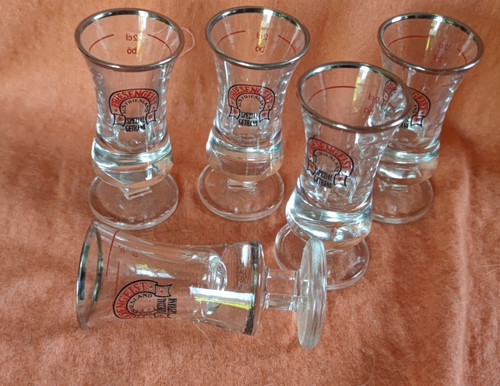 Friesengeist glas - friesengeist,