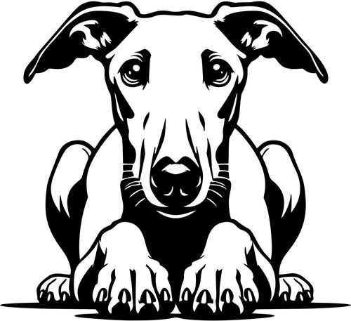 Whippet aufkleber - whippet,