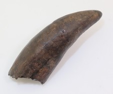 Panzerplatte, Alligator