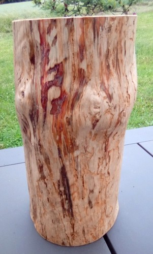 Baumstamm holzstamm natur deko - baumstamm,
