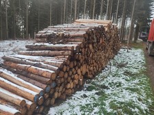 Brennholz Stammholz