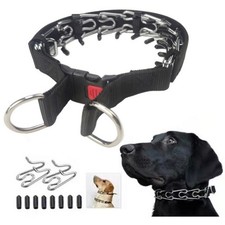Hundehalsband Verstellbarer