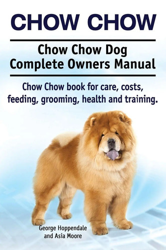 Chow - chow, dog