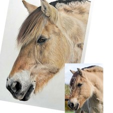 Individuelles Farbstift