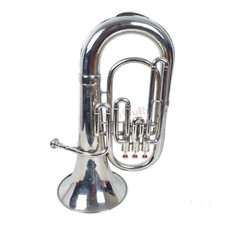 Indisches Musikinstrument