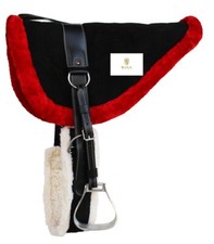 English horse riding - horse,