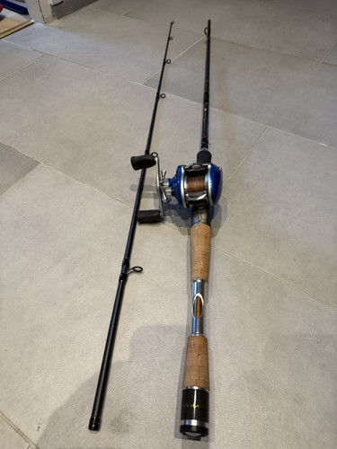 Baitcast multirolle daiwa - baitcast,