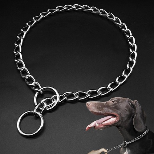 Hundehalsband hundekette - hundehalsband,