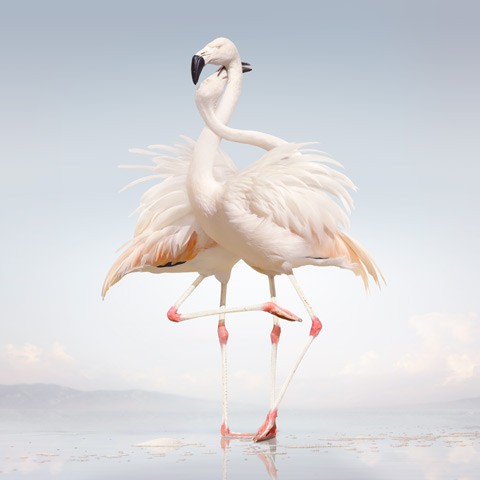 Rustie green language - green, 2lp