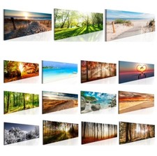 Wald Strand Meer Natur