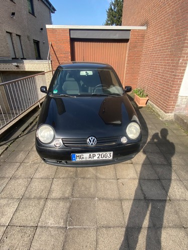 Lupo 2003 6e1 - 2003,