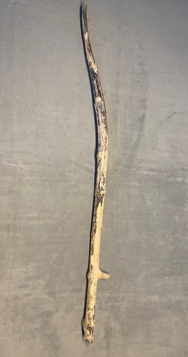 Treibholz driftwood - treibholz,