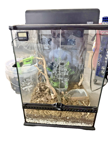 Exo terra 18x18x24 glass - exo,