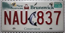 New Brunswick Nummernschild Kanada Kennzeichen Auto-Schild FISCH Motiv # NAU 837
