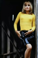 Sharon Tate 4x6 Fotodruck