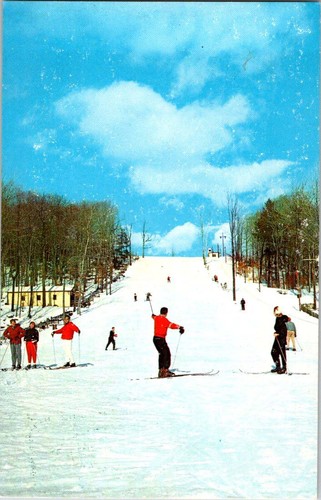 Liberty postcard - ny,