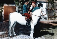 Michael Ande - seltenes