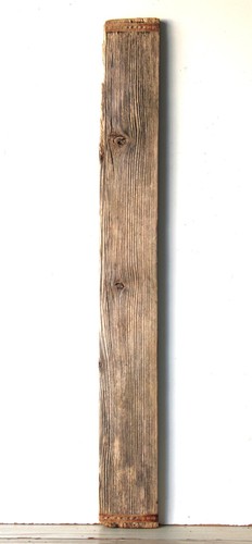 Treibholz schwemmholz - treibholz,
