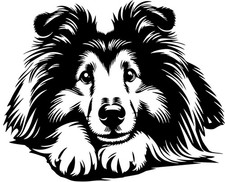 SHELTIE Aufkleber -