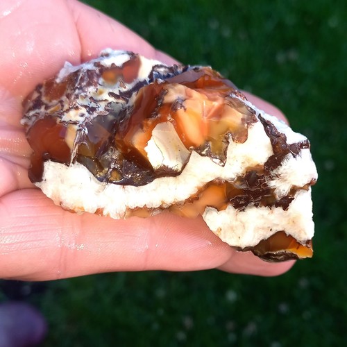 Opalit opal dendritenopal - opalit,