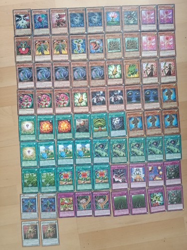 Pflanzen rosen - yu-gi-oh!, pflanzen/rosen