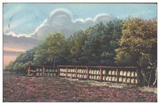 Y1006/ Bienenstand Imker bei