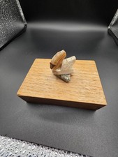 Edelstein Vogel  Edelsteintier