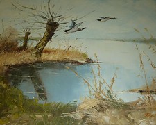 Flugenten über d. Dümmer See