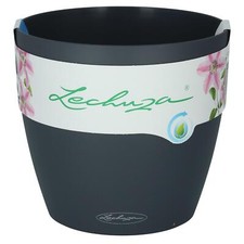 Lechuza Classico Color 28