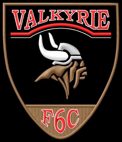 Honda valkyrie head - head, f6c