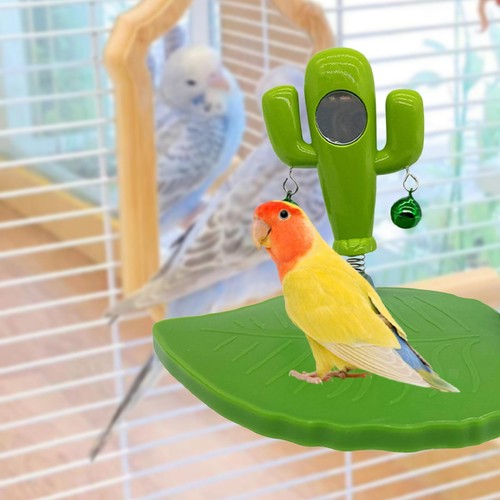 Kaktus papagei spielzeug - kaktus,