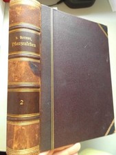 Pflanzenleben Zweiter Band