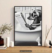 Leinwandbild Dackeldame sitzt