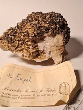 Kupferkies, Grube Eupel/Siegerland (S_25_20)