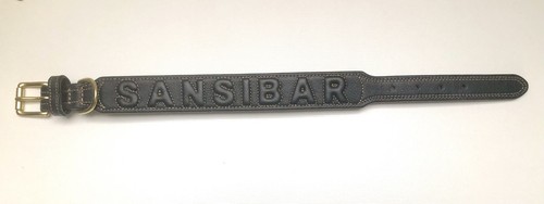 Führleine mit hundehalsband - führleine,