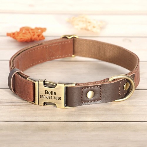 Hundehalsband mit namen - hundehalsband,