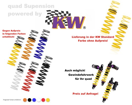Tieferlegungsfedern - kw,