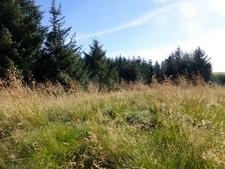 Foto A2 Middle Hill Barrow