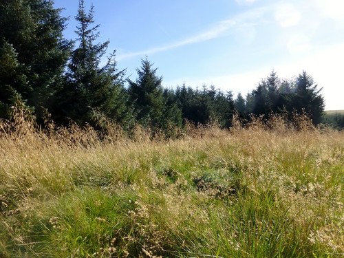 Foto middle hill - foto, a2