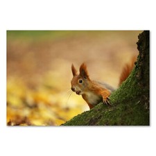 Postereck 1380 Poster Leinwand