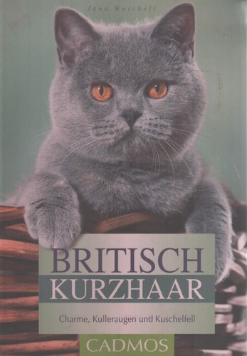 Britisch kurzhaar katzenbuch - britisch,