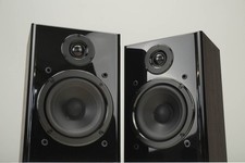 Swans D2000R Mooreiche 2-Wege