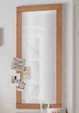 Spiegel Wandspiegel 50x120cm