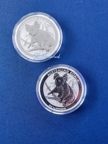 Koala 2018 australien - 1,