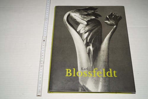 Karl blossfeldt 1865 - blossfeldt, 1865-1932