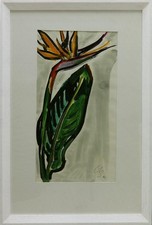 OTTO BAUMANN 1901 Regensburg 1992/Strelitzie/Aquarell sign. Nachlasst. 57cm*30cm