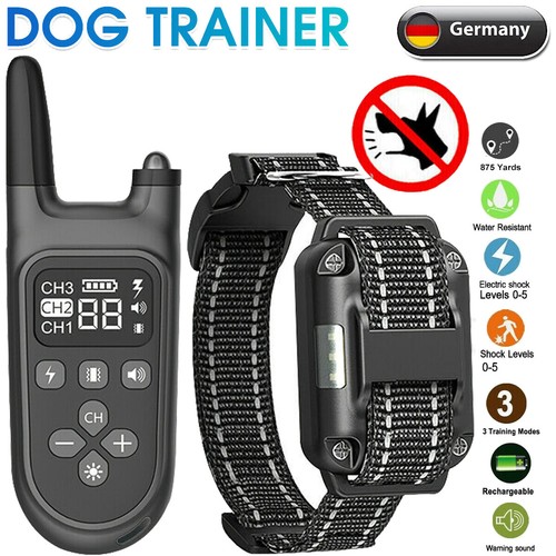 Hund ausbildung - hund,