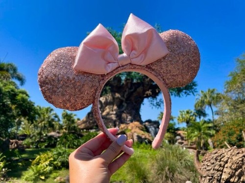 Disney parks rose gold - parks,